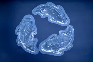 Special-Shaped Packaging for Carp Eight-Treasure Rice Boxes