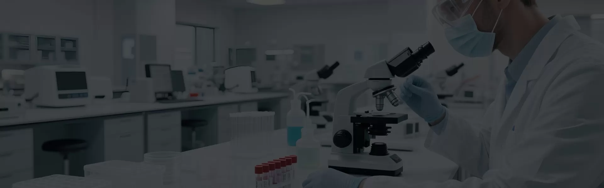 Healthcare & Medical