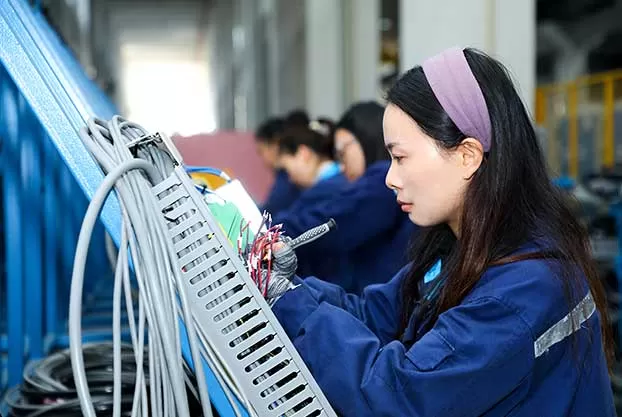 Professional Service Team of Injection Molding Machines
