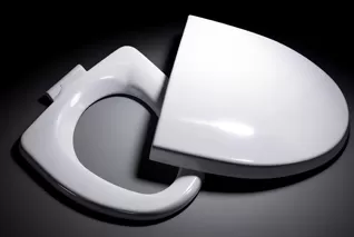 Toilet Seat